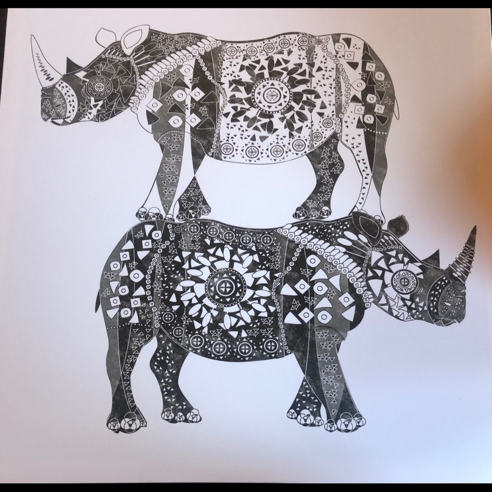 20 x 20 canvas print